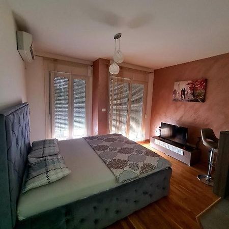 포드고리차 Apartman Bogdan 2 아파트 외부 사진